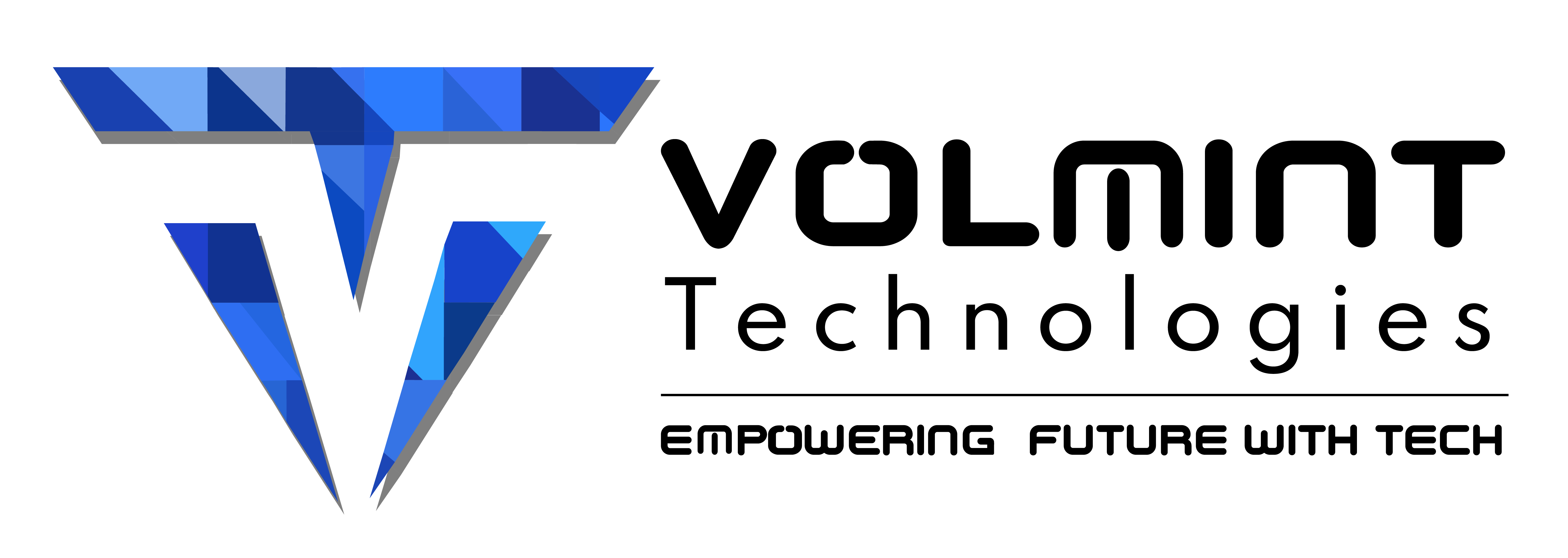 Volmint Logo